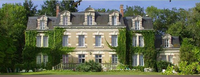 Château des Tertres Onzain Exterior foto